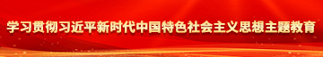 女人被v艹到爽的视频学习贯彻习近平新时代中国特色社会主义思想主题教育